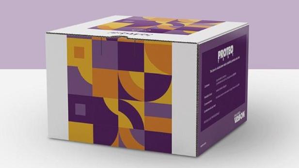 PROTEOTEST protein stability test kit for wine analysis with 240 tests in decorative purple and orange box