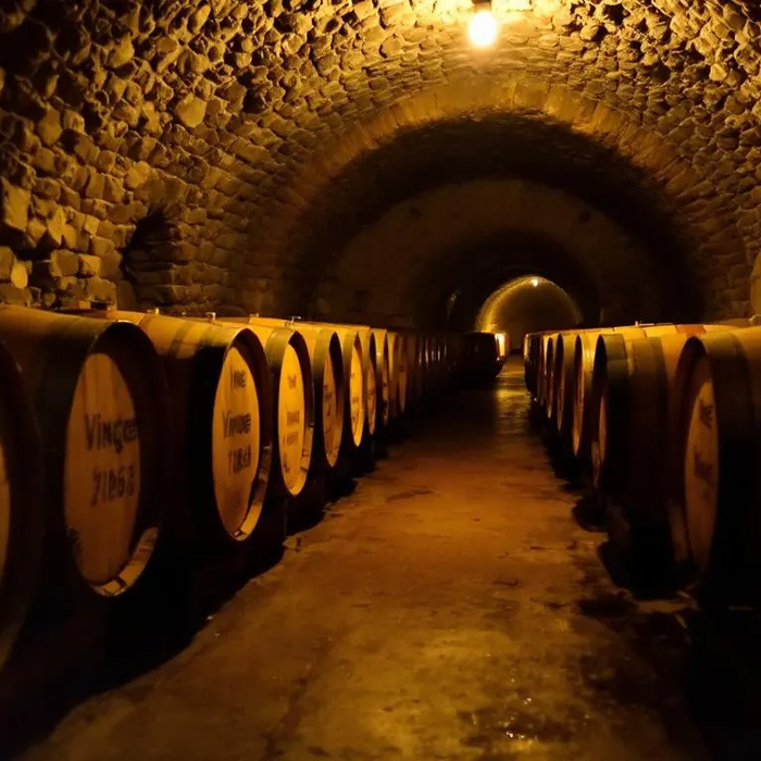 Barrels for Wine: Complete Guide to Wine Barrel Selection and Usage