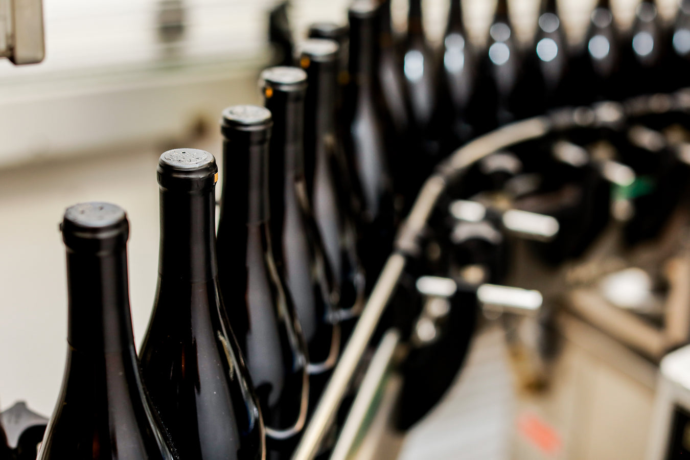 Wine Bottles