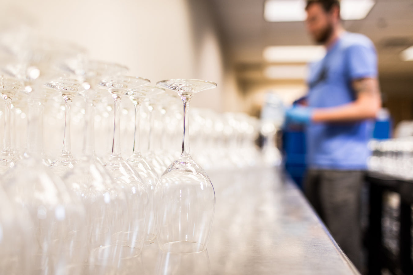Glassware - Wine, Beer & Spirits