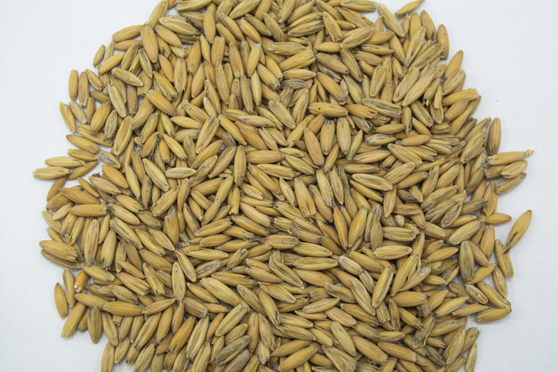 Hull and Oats
