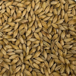 Honey Malt