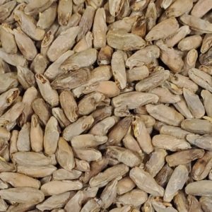 Munich Rye