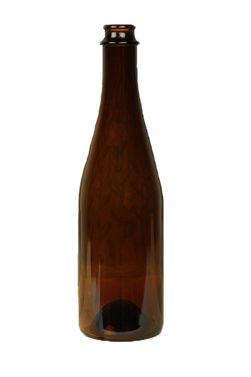 Funk 500ml Champ Beer Bottle