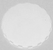 White Vented Keg Cap